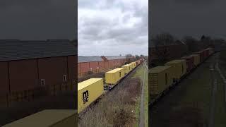 Wascosa 66720