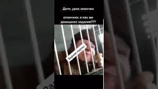 СМЕШНАЯ БАБКА СТУЧИТ И ОРЁТ МАТОМ