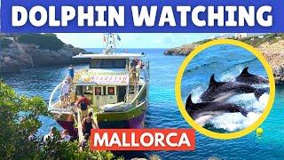 Dolphin Watching Mallorca (Majorca): Cala D’Or, Spain, August 2021