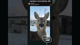 perfect timing  #viral #tiktok #tiktokviral #tiktokvideo #police #viralvideo #viralshorts