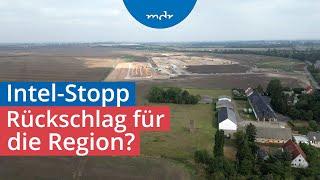 Enttäuschung und Sorge: Wie das Intel-Stopp Sachsen-Anhalt trifft | MDR SACHSEN-ANHALT HEUTE | MDR