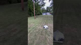 Robot mower for the win! #diy #lawn #lawnmower #robot #luba