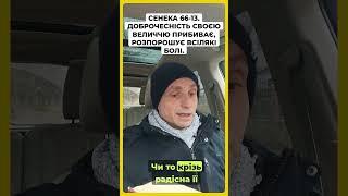 Сенека 66 13  Доброчесність своєю величчю прибиває, розпорошує всілякі болі #стоїцизм #сенека