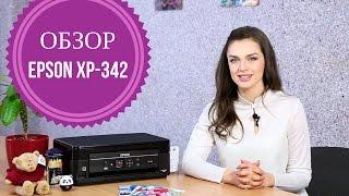 Обзор МФУ Epson XP-342 с Дариной