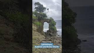 Natural Bridge #shorts #ytshorts #reels #beach #shashanka #travel