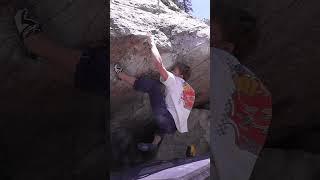 Euro Roof V10 LCC UTAH