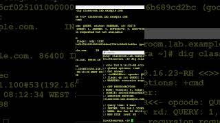How to install, setup and troubleshoot a DNS server in Linux. And the Clients too.Let's Go.