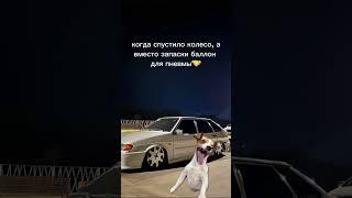 Посадочники поймут