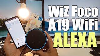 WiZ Foco A19 (WiFi) Compatible con ALEXA  //  REVIEW + CONFIGURACIÓN