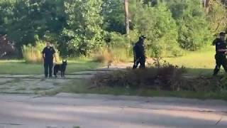 Saginaw Michigan community walk number 7 K-9 DOG