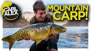 CARP FISHING in the MOUNTAINS of Gran Canaria!