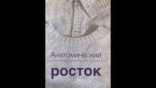 Как легко связать анатомический росток