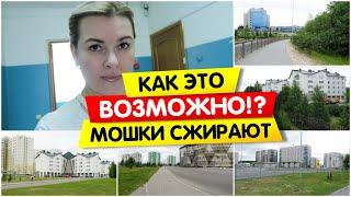 Как такое возможно? / Мошки сжирают / Vika Siberia LifeVlog