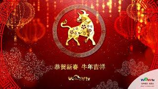 WOWtv 加华视讯 加西台 2021 牛年 恭贺新春