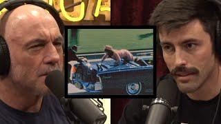 Joe Rogan & Ian Carroll talk about JFK assassination