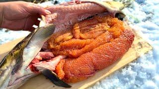 用水路でとれる魚の卵がヤバすぎた