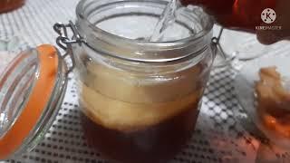 Membuat Hotel Kombucha bagi pemula HowToMake #ceritanam