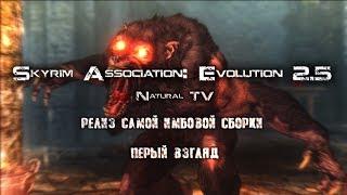 SKYRIM ASSOCIATION: EVOLUTION 2.5 РЕЛИЗ ПЕРВЫЙ ВЗГЛЯД