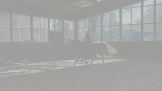 Sir Landino (under the saddle)