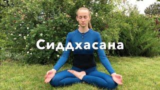 Сиддхасана  | Техника выполнения