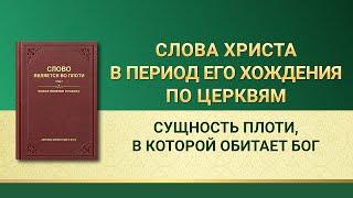 Слово Всемогущего Бога | Сущность плоти, в которой обитает Бог