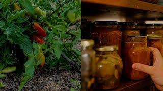 My nonna's tomato harvest and baked salsa