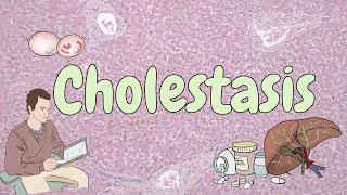 Cholestasis - liver pathology