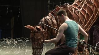 War Horse London 2011 company in rehearsals