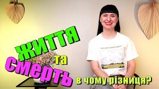 Життя та смерть,- в чому різниця?