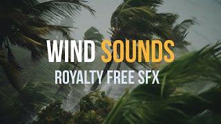 Wind Sounds - Howling Wind Sounds, Wind Noise, Nature Sound Effects #soundeffects #sfx