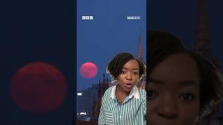 Did you see the Blue Supermoon? | Newsround
