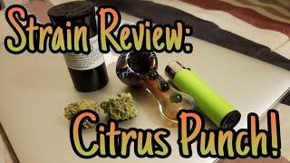 Strain Review: Citrus Punch!