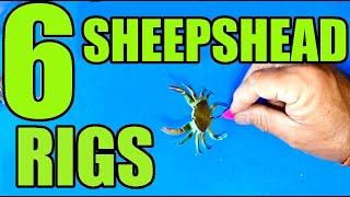 6 DIY Fishing Rigs (For Sheepshead Fishing) How To Rig With Crabs, Barnacles, Fiddlers and Shrimp