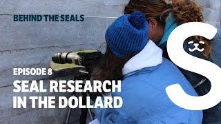 Behind The Seals | Episode 8: Seal research in the Dollard