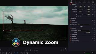 Dynamic Zoom | DaVinci Resolve 17 Tutorial