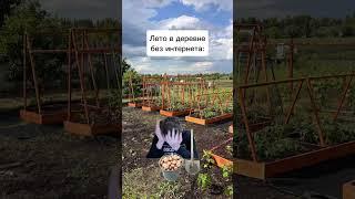 Лето в деревне #mellstroy #юмор #врек #прикол #дуэт #мем #жиза #грусть #школа #automobile