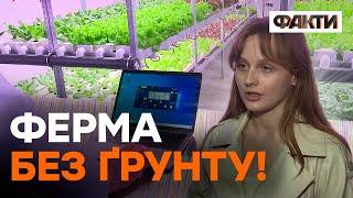  Вертикальна ФЕРМА! Вирощування зелені, яким керують з НОУТБУКА - українці ШОКУЮТЬ