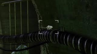 yakuza 4 rat [Yakuza]