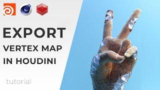 Экспорт VERTEX MAP из Houdini в Cinema 4d vs Redshift