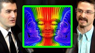 The psychedelic mushroom experience | Matthew Johnson and Lex Fridman