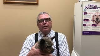 Introduction to Superior Veterinary Care