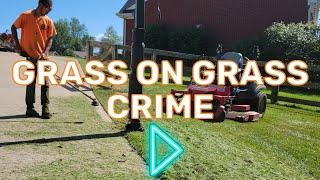 Fighting "Grass on Grass Crime" at the No Plant Havin' House!