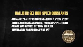 RWS Hobby Pellet  - Ballistics Gel Penetration test