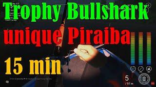 Fishing planet - Trophy Bullshark & Uni Piraiba | 15 min With LURE | Update