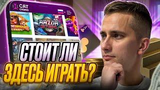  ЧЕСТНЫЙ ОБЗОР CAT CASINO - СТОИТ ЛИ ИГРАТЬ в КАЗИНО? | Cat Казино | Зеркало Cat Casino