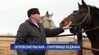 ОРЛОВСКИЕ РЫСАКИ - СОКРОВИЩЕ БУДЖАКА