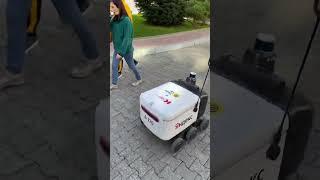#пашемспашей #смех #смешно #смешныевидео #приколы #прикол #приключения #юмор
