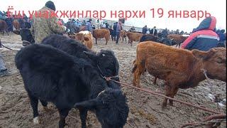 Шовот пир мол бозори 19 январь 2022