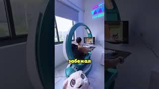 Роскошная игровая квартира!