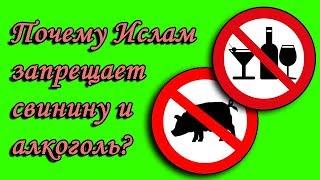 Почему ислам запрещает свинину и алкоголь?